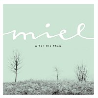 Přední strana obalu CD After The Thaw