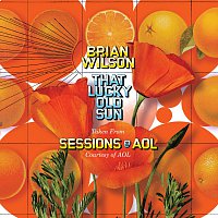 Brian Wilson – That Lucky Old Sun: AOL Sessions