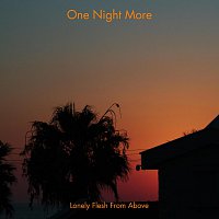 Lonely Flesh From Above – One Night More