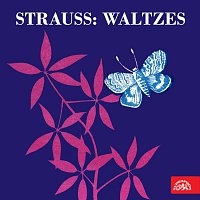 Různí interpreti – Strauss: Valčíky