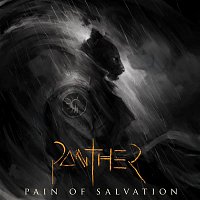 Přední strana obalu CD PANTHER