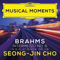Seong-Jin Cho – Brahms: 6 Pieces for Piano, Op. 118: VI. Intermezzo in E Flat Minor. Andante, largo e mesto [Musical Moments]