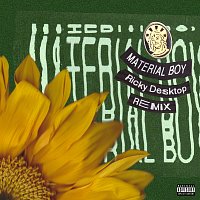 Sir Sly, Ricky Desktop – Material Boy [Ricky Desktop Remix]