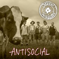 Steve ‘n’ Seagulls – Antisocial [English Version]