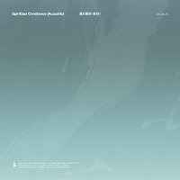 Přední strana obalu CD Constance [Acoustic Version]