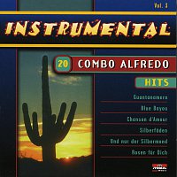 Přední strana obalu CD 20 Hits - Instrumental - Vol. 3