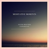 Peter Herynek Experience – Meditative Moments