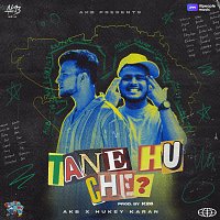 AKB, Hukeykaran – Tane Hu Che?