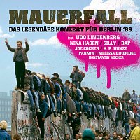 Různí interpreti – Mauerfall - Das legendare Konzert fur Berlin '89 [Live]