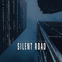 Onofrio Cellamare – Silent road