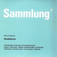 Leonhard Schmidinger, Dietmar Bruckmay, Sigrun Schneggenburger, Thomas Kasten – Sammlung 7  Flesh An Execution  Musikdrama