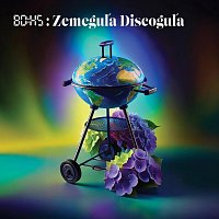 BDHS Blikajúci Dychový Hudobný Systém – Zemeguľa Discoguľa