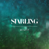 Starling – Misfit