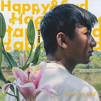 AMIR ALIF – It's Over