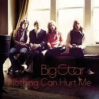Big Star – Nothing Can Hurt Me