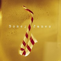 Přední strana obalu CD Boney's Funky Christmas [Reissue]
