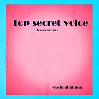 Top secret voice