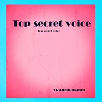 Vlastimil Blahut – Top secret voice