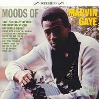 Marvin Gaye – Moods Of Marvin Gaye