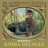 Přední strana obalu CD Kipling: Kniha džunglí - Mauglí