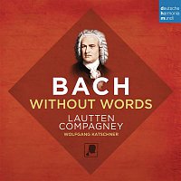 Lautten Compagney – Bach Without Words