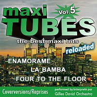 Přední strana obalu CD Maxi Tubes - Vol. 5 - Reloaded