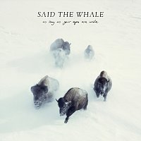 Said The Whale – As Long As Your Eyes Are Wide
