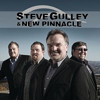 Přední strana obalu CD Steve Gulley & New Pinnacle