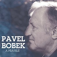 Přední strana obalu CD Pavel Bobek & pratele