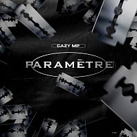 GAZY MP – Parametre