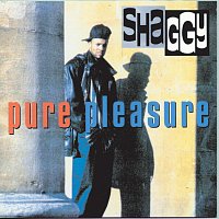 Shaggy – Pure Pleasure