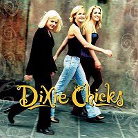 The Chicks – Wide Open Spaces