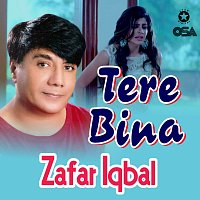Zafar Iqbal – Tere Bina