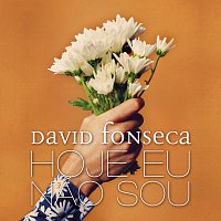 David Fonseca – Hoje Eu Nao Sou