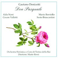 Mario Rossi – Don Pasquale