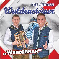 Přední strana obalu CD Wunderbar