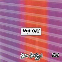 Chaz Cardigan – Not OK! [Acoustic]