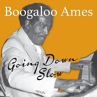 Boogaloo Ames – Going Down Slow