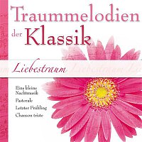 Various Artists.. – Liebestraum - Traummelodien der Klassik