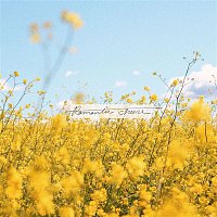 Přední strana obalu CD A New Spring