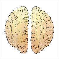 Přední strana obalu CD Hout+steen