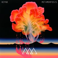 Reyno – Metamorfosis