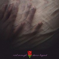 Demo Taped – Not Enough