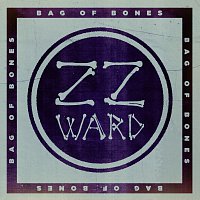 ZZ Ward – Bag of Bones [Fan Version]