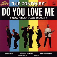 Přední strana obalu CD Do You Love Me (Now That I Can Dance)