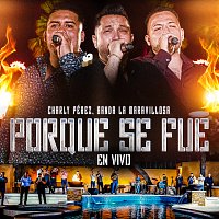 Charly Pérez, Banda La Maravillosa – Porque Se Fue [En Vivo]