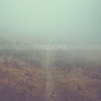 Step to the Crowd – PANDORA MP3