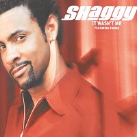 Shaggy – It Wasn't Me