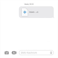 PAMO – 3