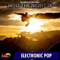 Přední strana obalu CD Into the Night IX